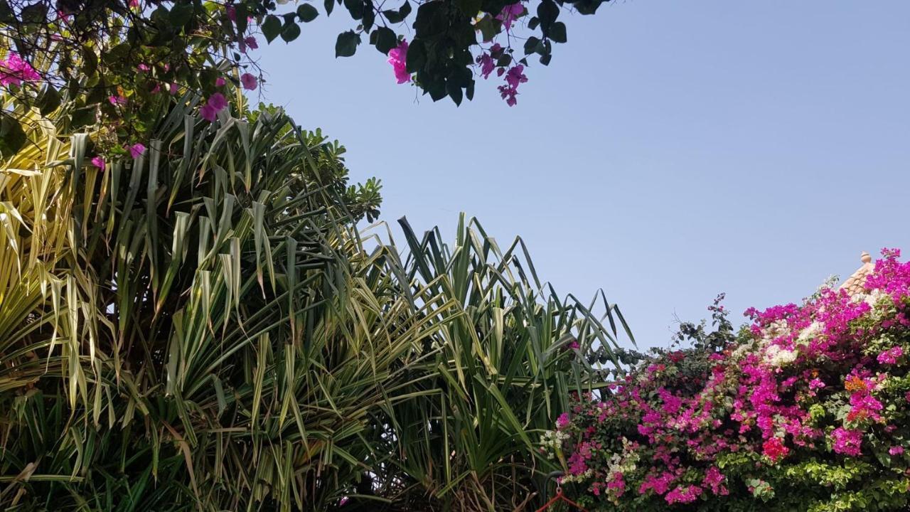 Villa Met Prive Zwembad In Residence Safari Village Saly Portudal Exterior foto